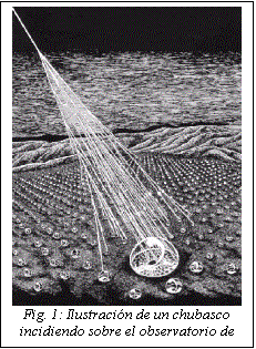 Cuadro de texto:  
Fig. 1: Ilustracin de un chubasco incidiendo sobre el observatorio de rayos csmicos


